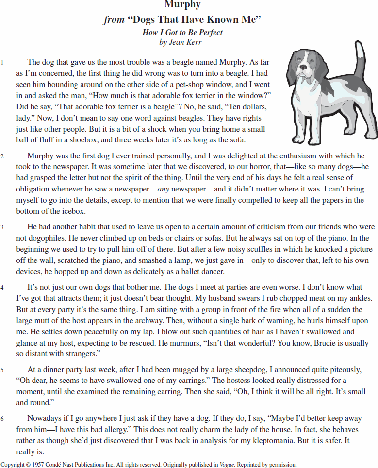 Descriptive Essay About My Dog Friend